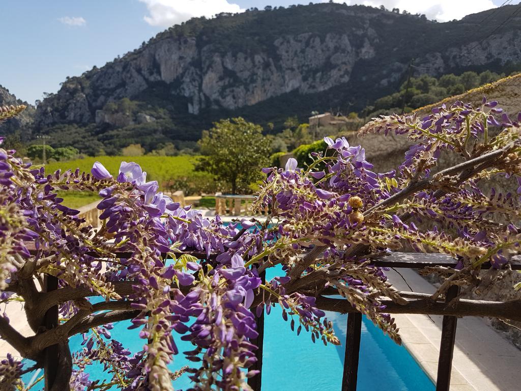 Finca Son Brondo Lantställe Valldemossa (Mallorca)