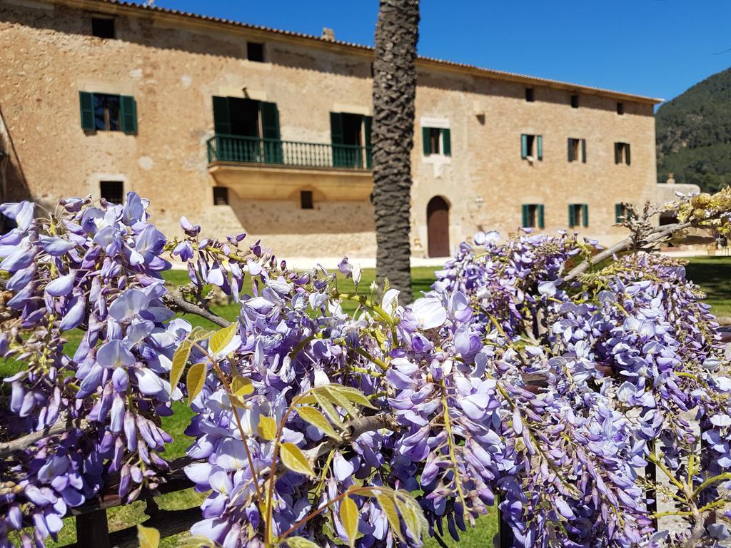 Finca Son Brondo * Valldemossa (Mallorca)