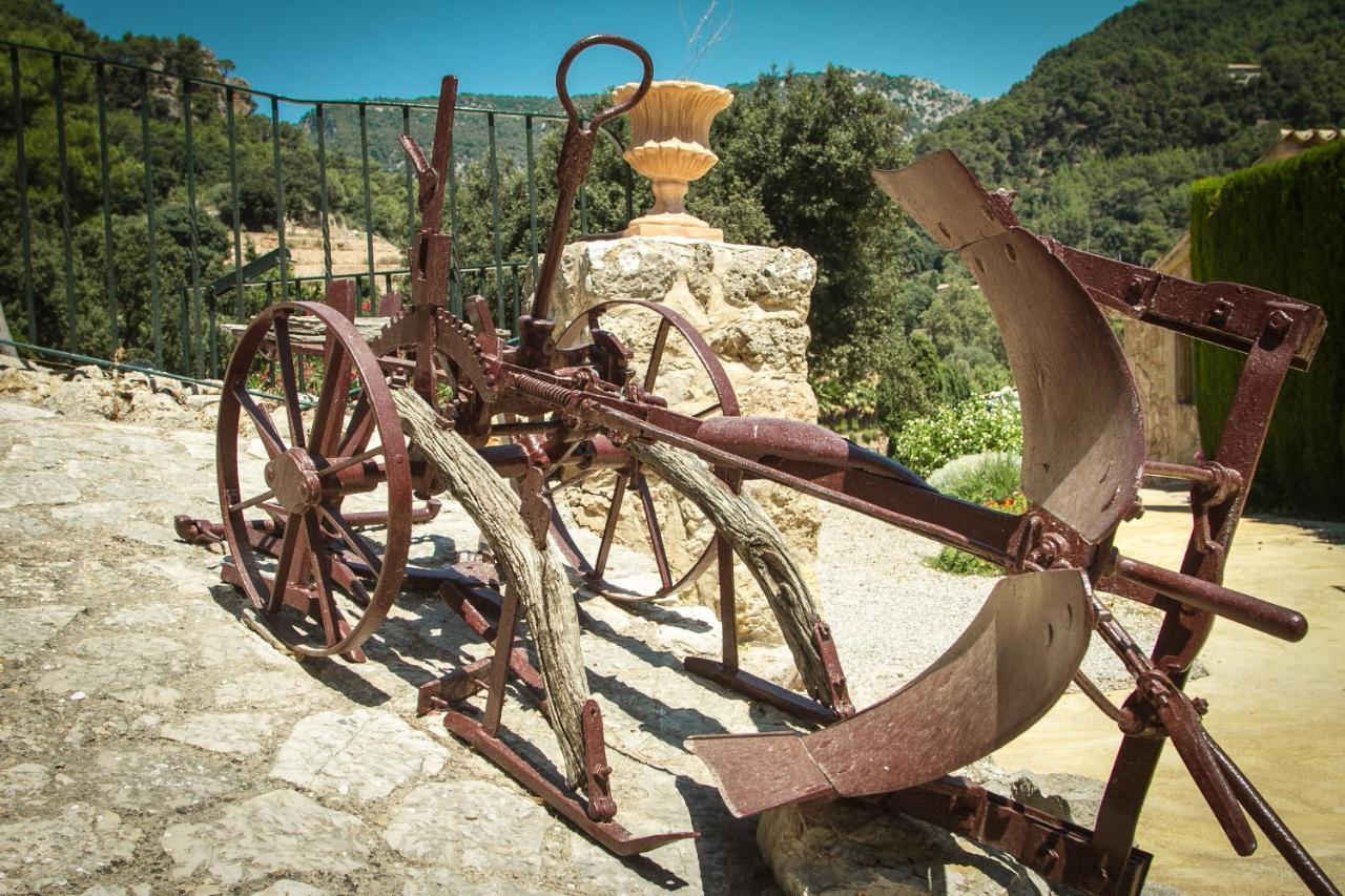 Finca Son Brondo Lantställe Valldemossa (Mallorca)