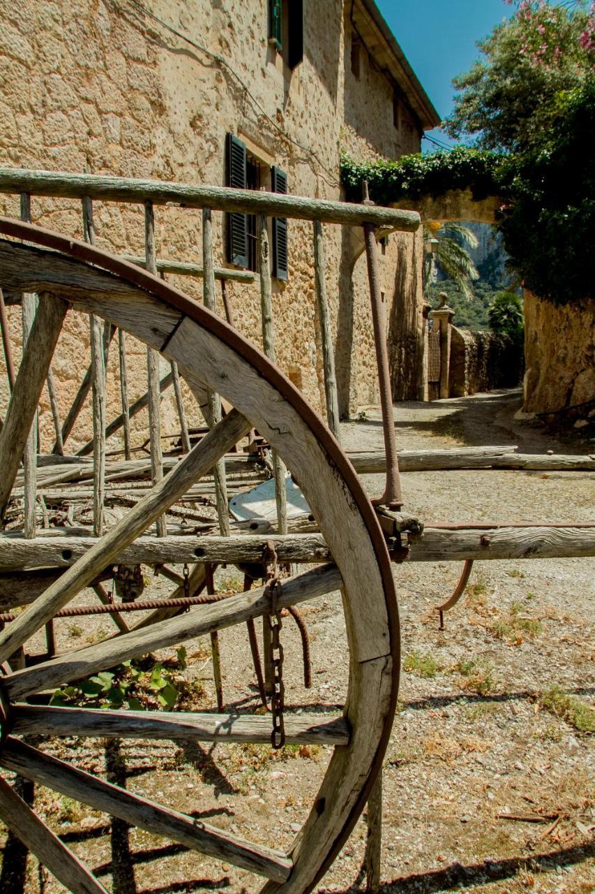 Finca Son Brondo *
