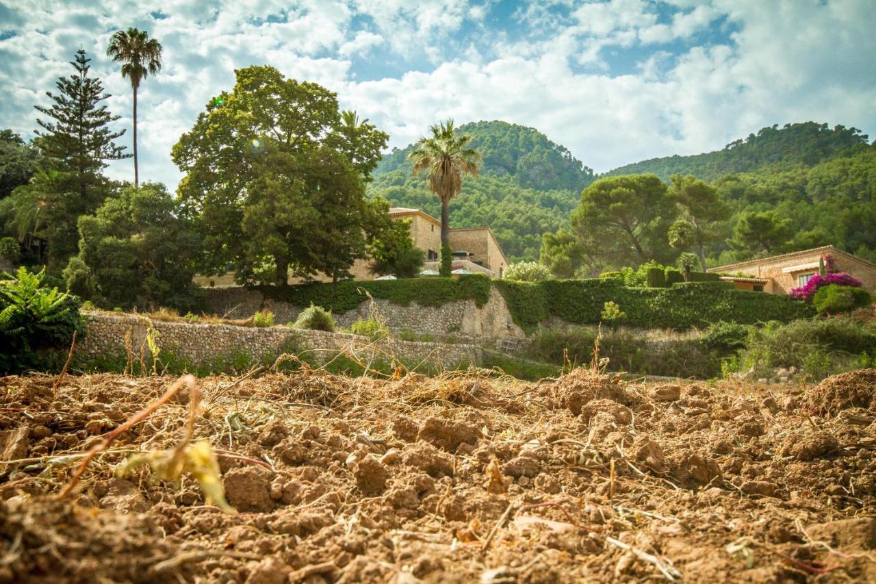 Lantställe Finca Son Brondo