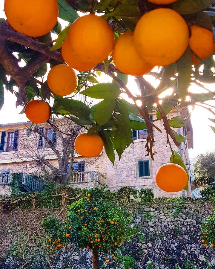 Finca Son Brondo