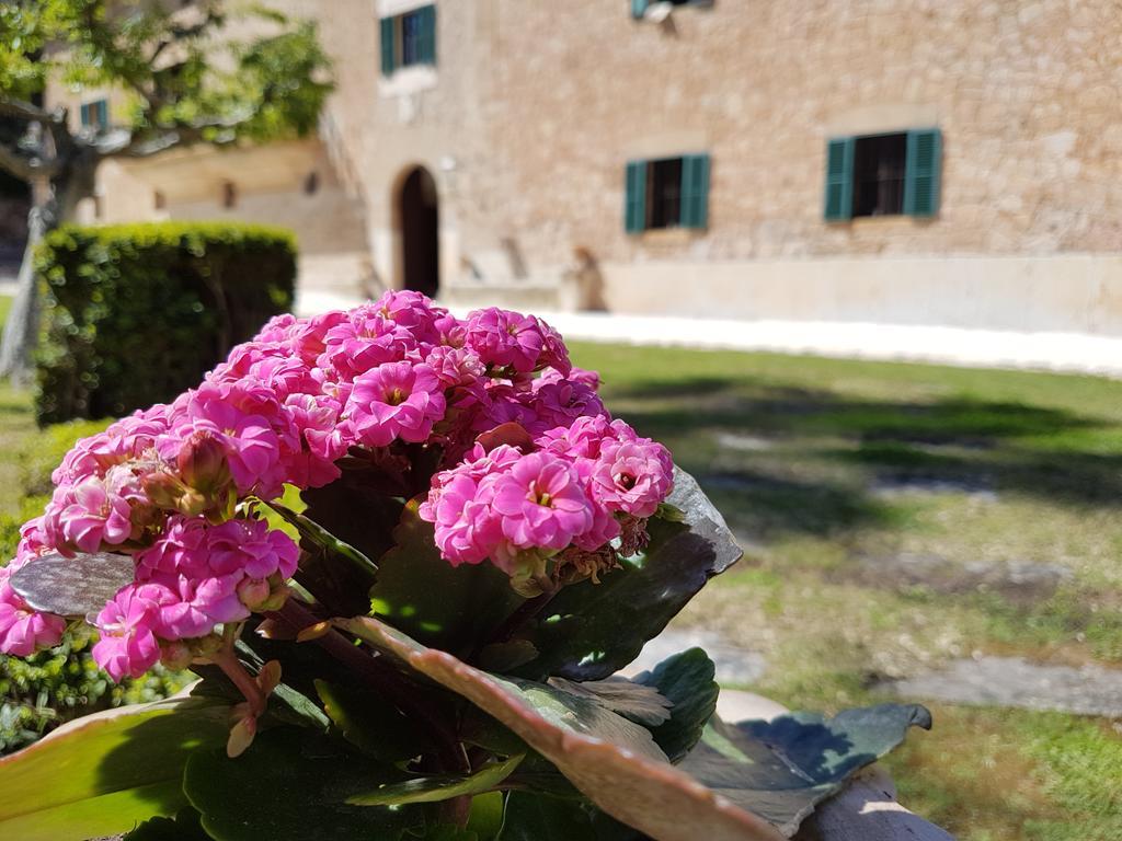 Country house Finca Son Brondo Valldemossa (Mallorca)